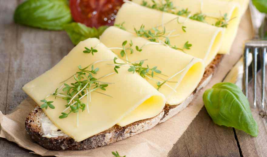 bauer content kaese 880x520px