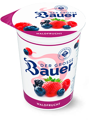 bauer natur teaser der grosse bauer waldfrucht 250g