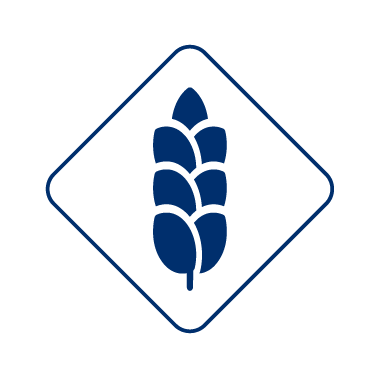 bauer natur filter cerealien nuesse