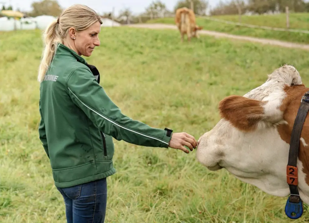 F6690687 C2EF 45D2 8FB7 61E019EDE46E 1 201 a