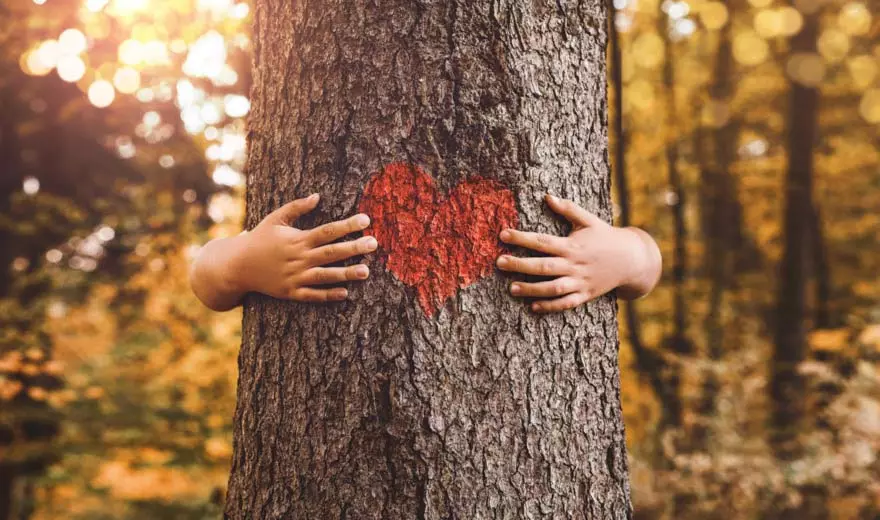 bauer natur nachhaltigkeit unsere azubis pflanzen baeume