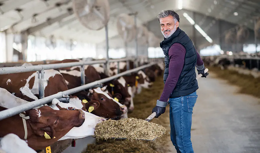 Bauer Natur Unsere Bauern Landwirtschaft 2