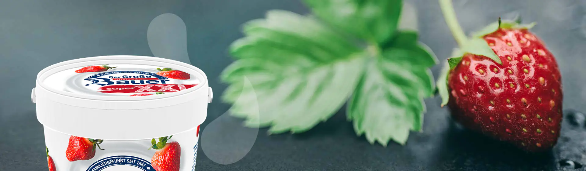 bauer natur joghurt xxl erdbeere frucht header 