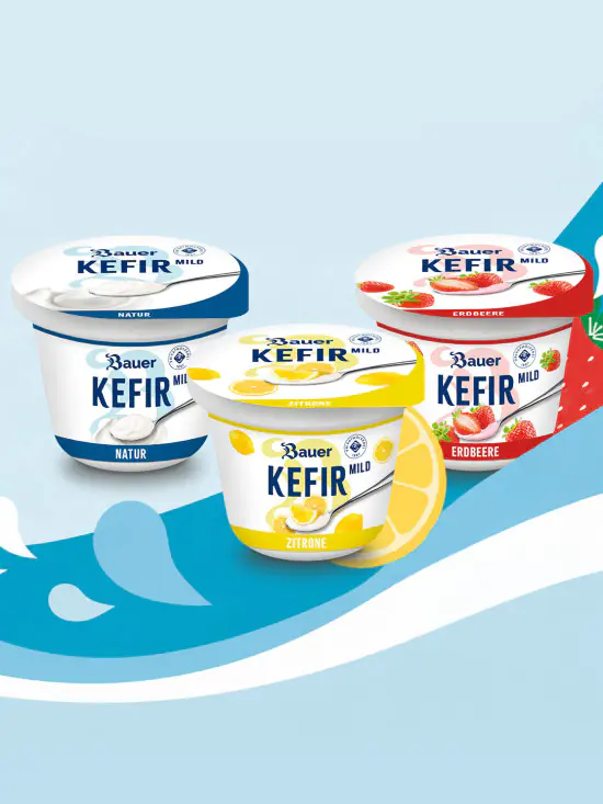 vorlage header mobile Kefir 2